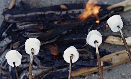 Cooking Marshmallows over Campfire