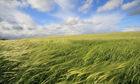 Green Fields Blue Skies. Looking North from the top of the White Nothe, Dorset.