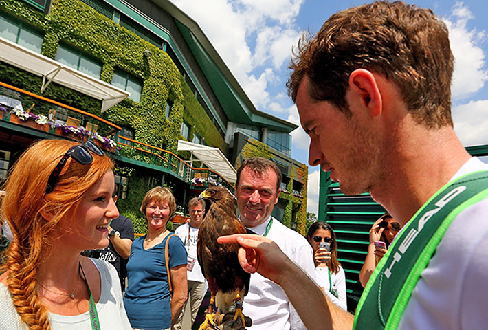 Andy Murray practices