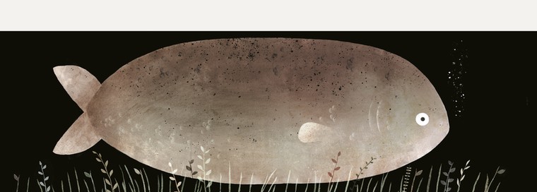 THis is not my hat: Hat 3