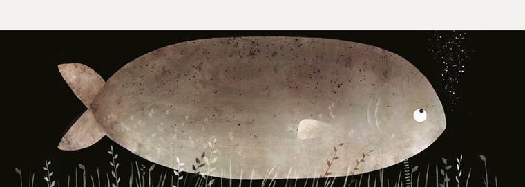 THis is not my hat: Hat 4