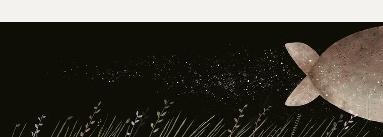 THis is not my hat: hat 6