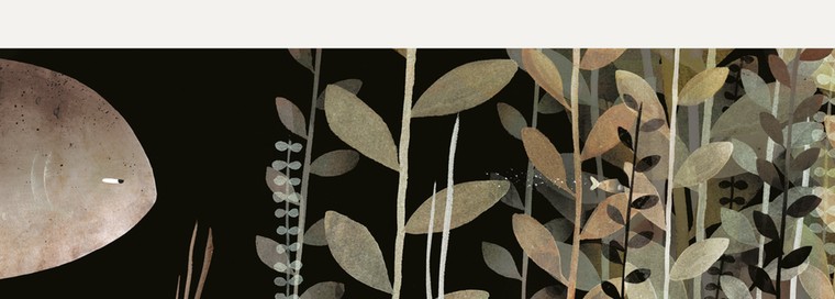 THis is not my hat: hat  12