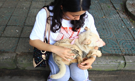 An animal rights activist buys a dog from a vendor in Yulin, China