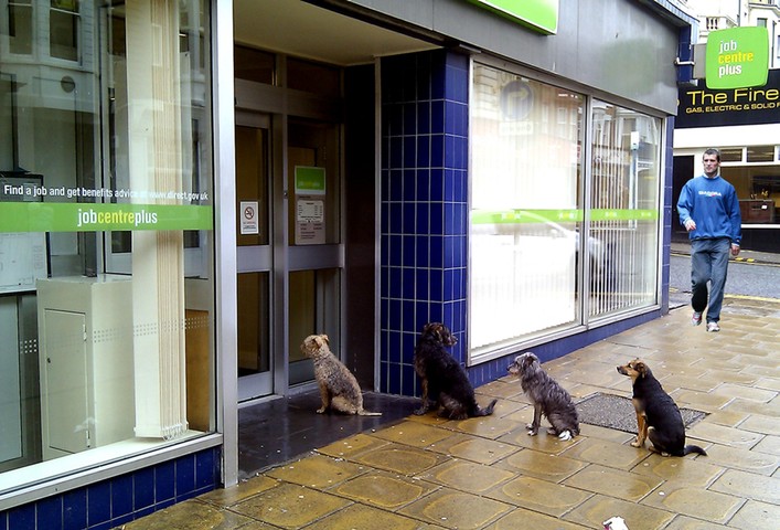 World Cup pundits: World Cup pundits