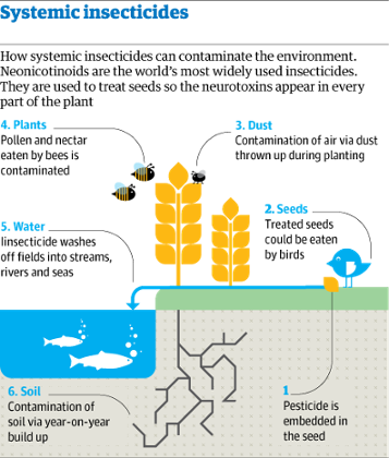 Systemic insecticides