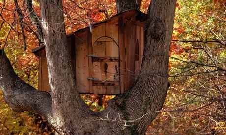 Tree house