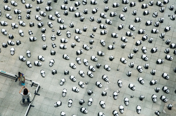 It's those pandas again: Papier-mache pandas, part of a special art installation by French sculptor Paulo Grangeon in Hong Kong. The '1600 Pandas World Tour' exhibition has already been displayed in a number of other cities, including Berlin, Paris and Taipei. The aim of the installation is to raise awareness of WWF and the plight of pandas.