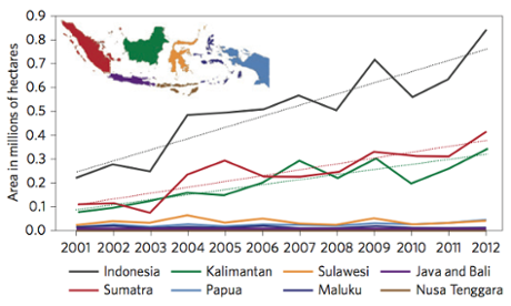 Annual primary forest cover loss, 2000–2012, for Indonesia