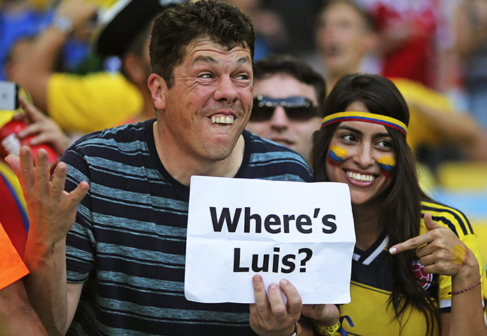 where's luis: Colombia fan