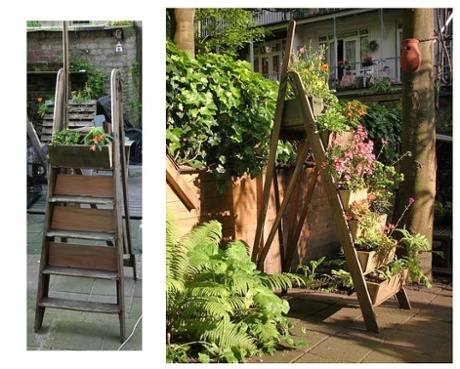 'The most beautiful old ladder, now in the garden with flowers.'