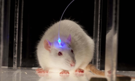 Optogenetics