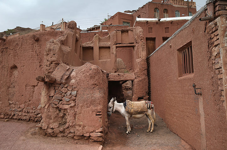 Agencies Iran Moore: A donkey stands amongst traditional mud brick homes
