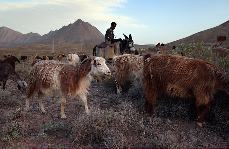Agencies Iran Moore: A Trip Through The Heart Of Central Iran