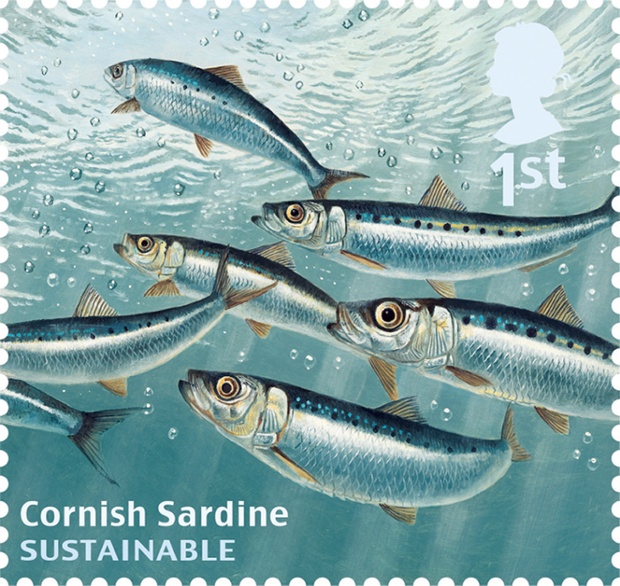 Undated handout photo issued by Royal Mail from their Sustainable Fish Special Stamps issue showing Cornish Sardine.