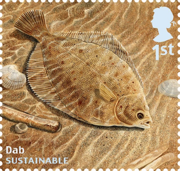 Undated handout photo issued by Royal Mail from their Sustainable Fish Special Stamps issue showing a Dab