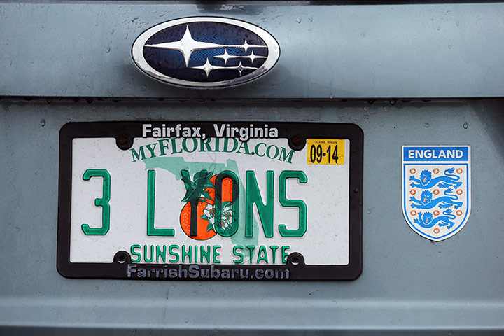 England v ecuador: Three lyons number plate