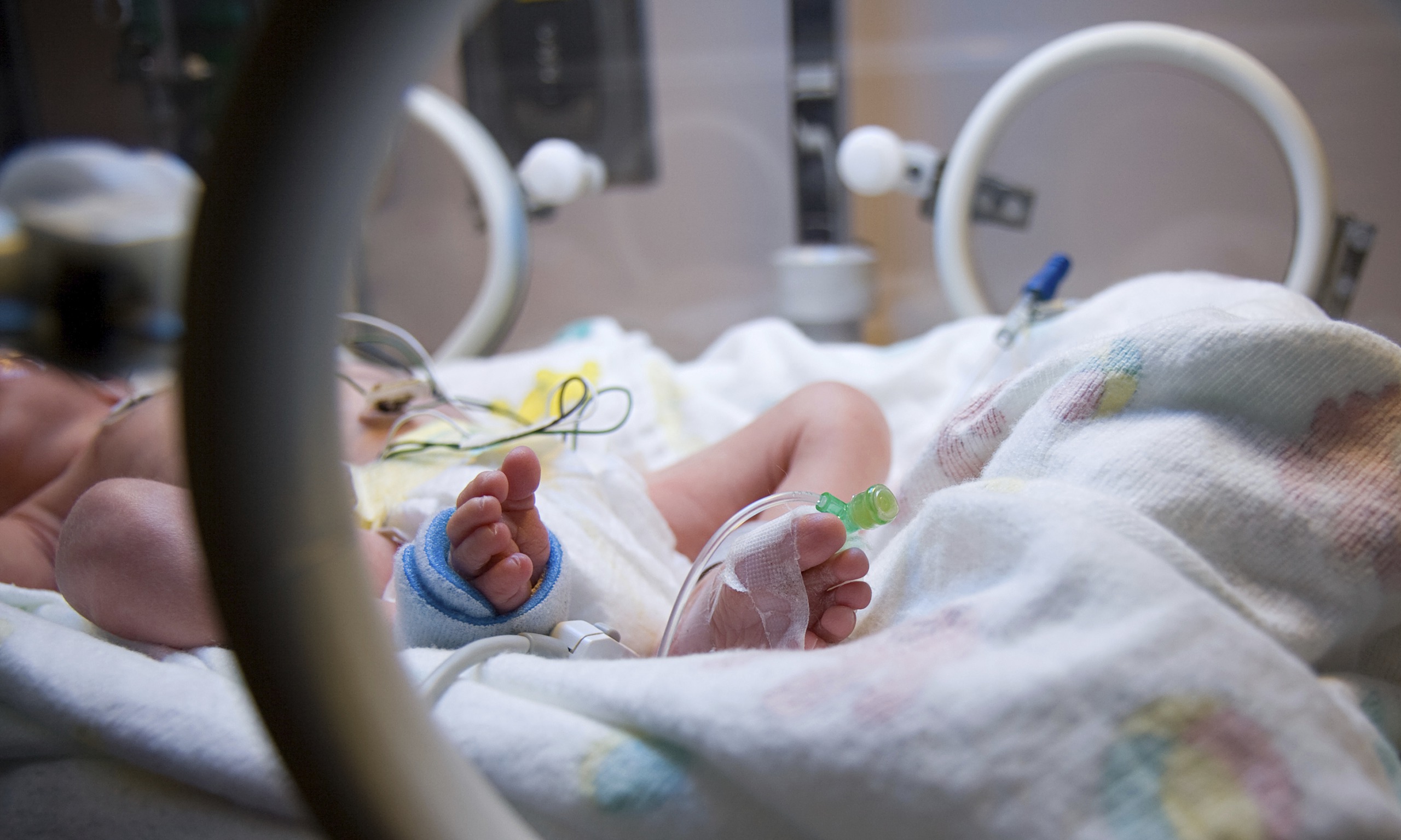 Liquid food linked to poisoning of babies was sent to 22