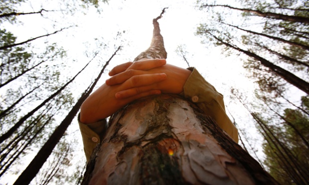 A Nepalese student hugs a tree during a mass tree hugging on the World Environment Day on the outskirts of Katmandu, Nepa.
