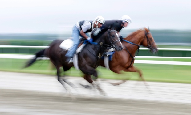 Early runners - Two horses exercising on the track during morning workouts at Belmont Park in Elmont, New York.