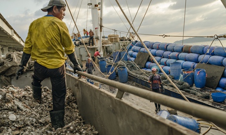 Migrant workers unload fish at Songkhla port, Thailand