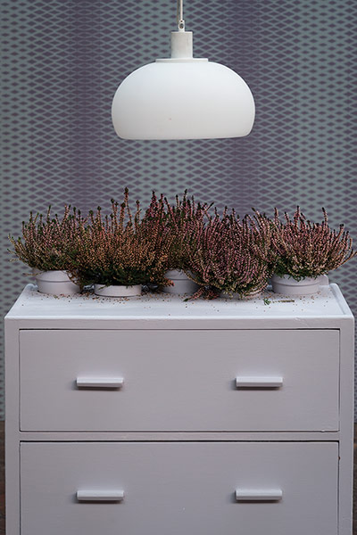 Upcycling Gallery: Chest of drawers with fern