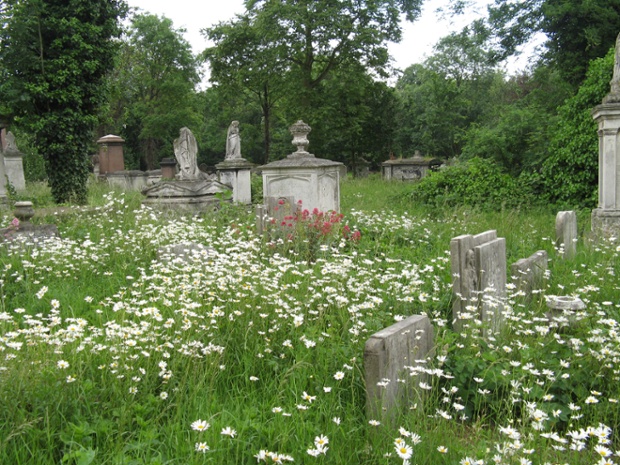 Tower Hamlets Cemetery Park covers 31 acres and is a designated Local Nature Reserve