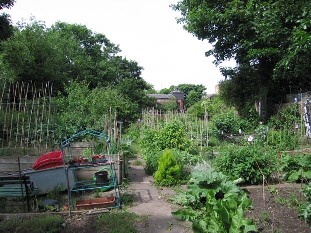 Walworth Allotment Association was founded in the 1970s is home to just 16 plots with a wildlife area and bee hives