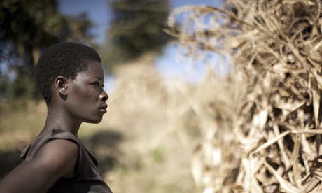 Women farmining Malawi