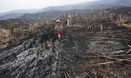 Deforestation in the Bago Region of Burma