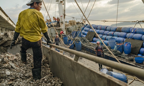 'Trash fish' used in the fishmeal fed to prawns is unloaded at a Thai dock