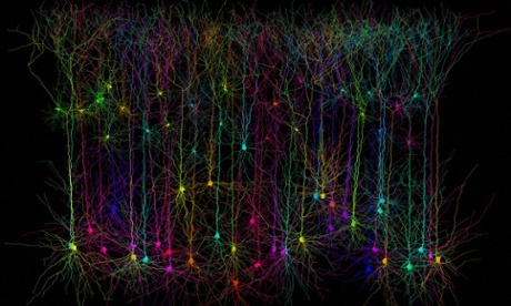 Dendrite simulation