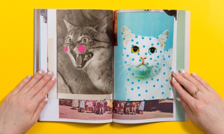 Cat People Magazine