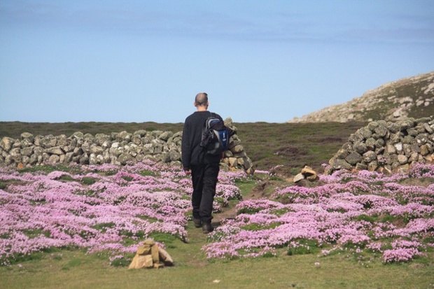 Sunshine in Pembrokeshire Wales