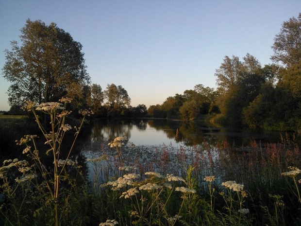 June evening, Pleshey, Essex