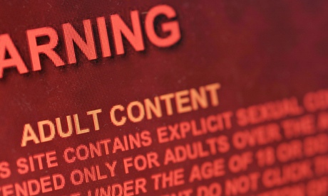 Pornography website