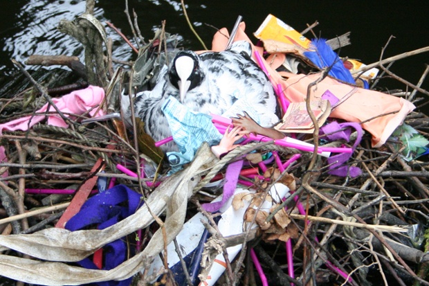 Sema Bekirovic, Koet. (Avec l aimable autorisation de l artiste.).