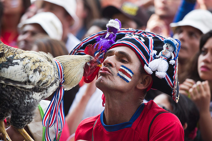 World Cup fans: A Costa Rica fan feeds his pet rooster