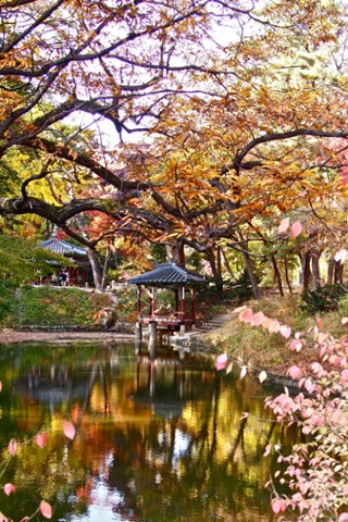 1 Anguk (Changdeokgung) (Autumn) – one of five former royal residences in downtown Seoul, Changdeok Palace is renowned for the way its structures balance with the natural landscape, a signature of traditional Korean architecture. After decades of development, the city is once again looking for ways to harmonise nature and urban living.