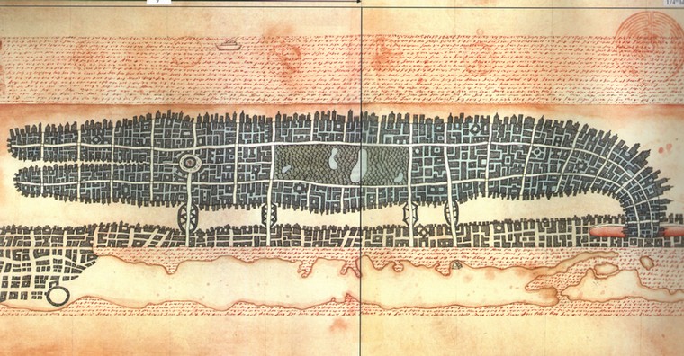 Peter Sis: alligator