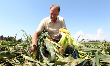 48%, according to Gallup – believe that foods produced using genetic engineering pose a serious health hazard, despite assurances from corporations, government regulators 