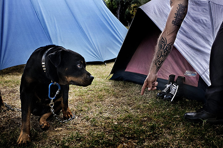 Weekend - Skinheads : dog on campsite with man pointing finger 