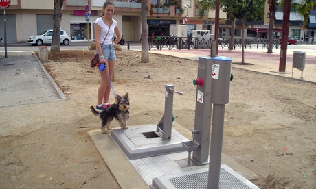 Dog toilet in El Vendrell, Spain