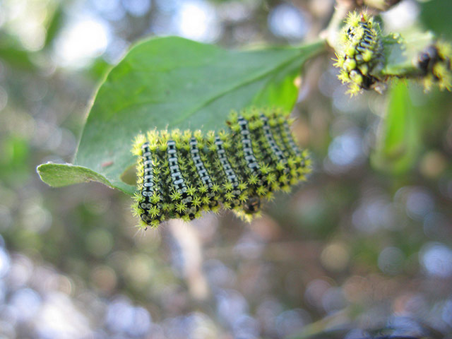 Munch: In Tanzania, we were mainly watching rather larger grazing animals, but few