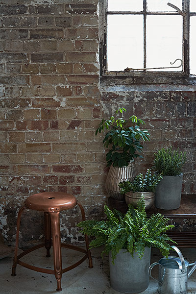 Homes - Industrial: Industrial Vintage