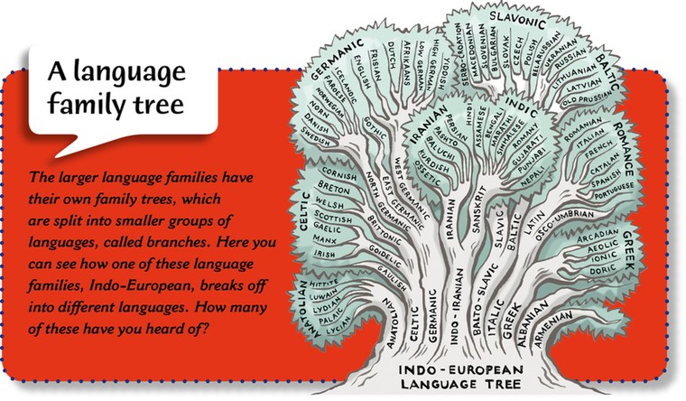 Languages: 2 language tree 