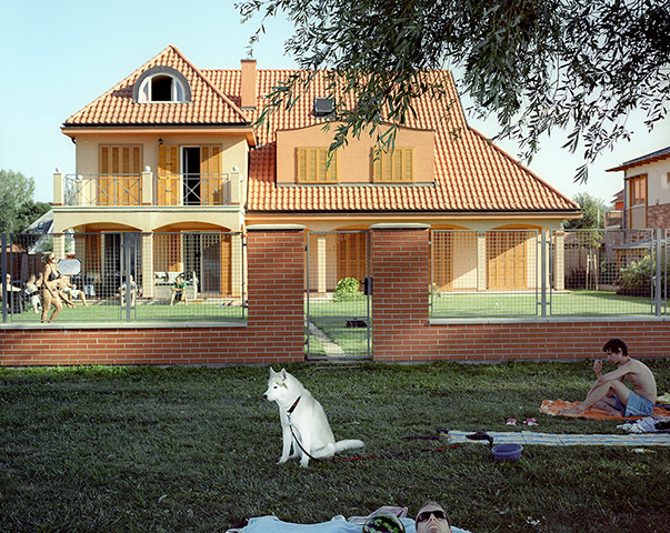 Hungarian Sea: Haski Dog