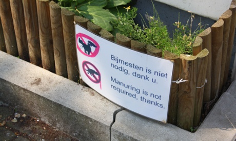 Dutch cleanliness revealed