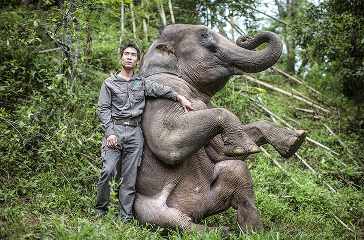 20 photos: Wild Elephant Valley, China