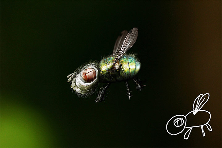 Telmo Miel drawings: Telmo Miel drawings Kiddie Arts